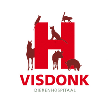 Visdonk